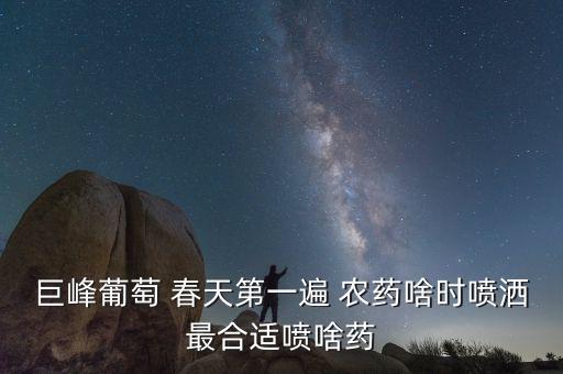 春天什么時候噴施農藥,春天麥子什么時候打農藥最好