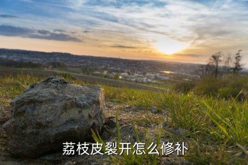  荔枝皮裂開怎么修補