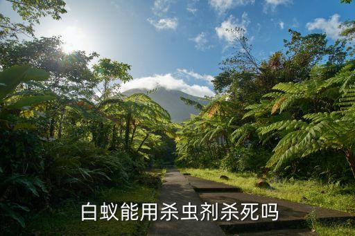 什么農藥可以毒死白蟻,白蟻用什么農藥最好