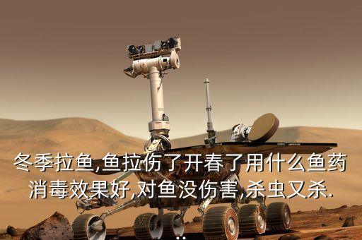 冬季拉魚,魚拉傷了開春了用什么魚藥消毒效果好,對魚沒傷害,殺蟲又殺...