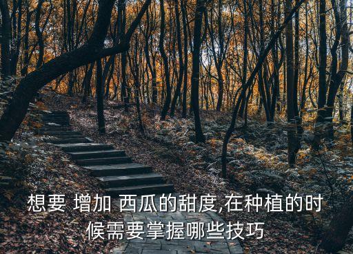西瓜噴什么農(nóng)藥增加甜,西瓜蟲用什么農(nóng)藥比較好