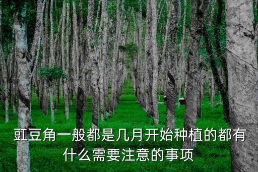  豇豆角一般都是幾月開始種植的都有什么需要注意的事項