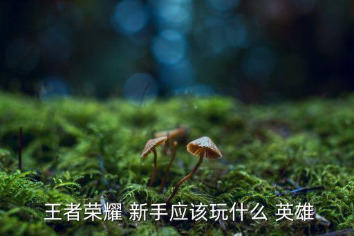  王者榮耀 新手應該玩什么 英雄