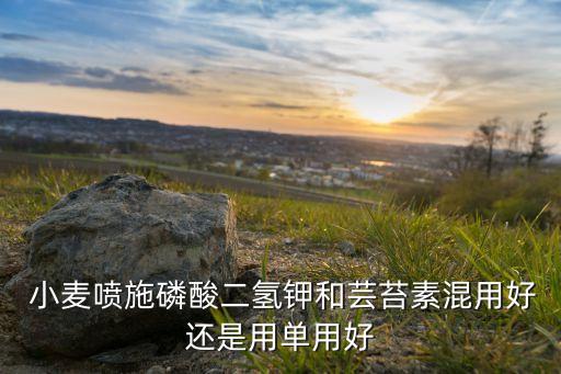 小麥水稻用什么農(nóng)藥,小麥打農(nóng)藥什么時間打效果好