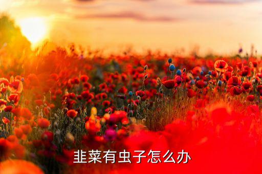  韭菜有蟲子怎么辦