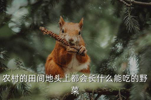 白茅草用什么農藥,除白茅草用什么藥好?