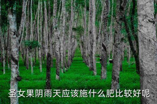 圣女果雨過打什么農藥