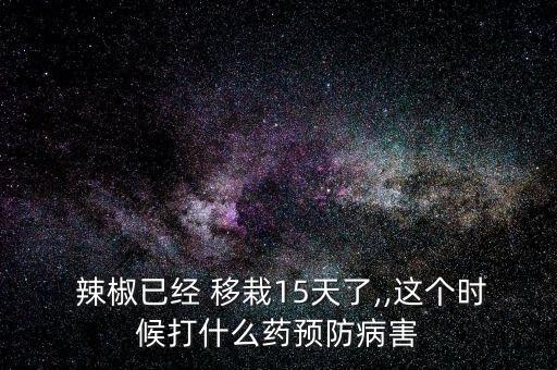  辣椒已經 移栽15天了,,這個時候打什么藥預防病害