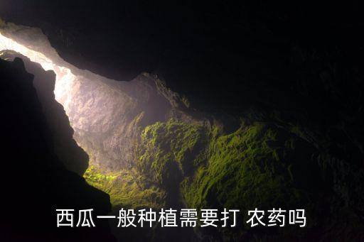 什么農藥無解毒劑,有機磷農藥最有效的解毒劑是
