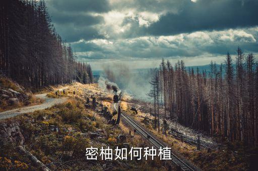 蜜柚用什么農藥來噴霧的