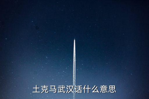 土克馬武漢話什么意思