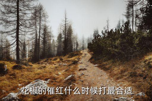  花椒的催紅什么時(shí)候打最合適