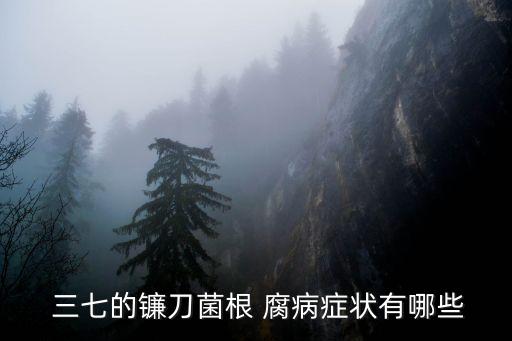  三七的鐮刀菌根 腐病癥狀有哪些