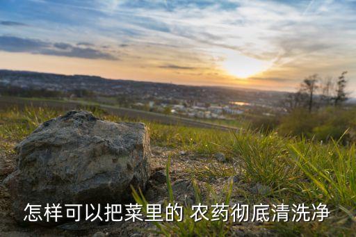 菜用什么藥去除農(nóng)藥,用小蘇打洗菜可以去除農(nóng)藥嗎