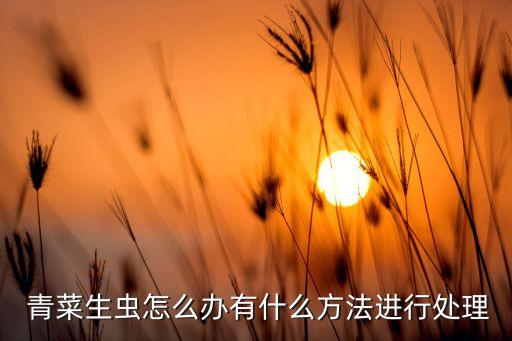 青菜蟲用什么農藥防治害蟲,青菜有蟲打什么農藥好