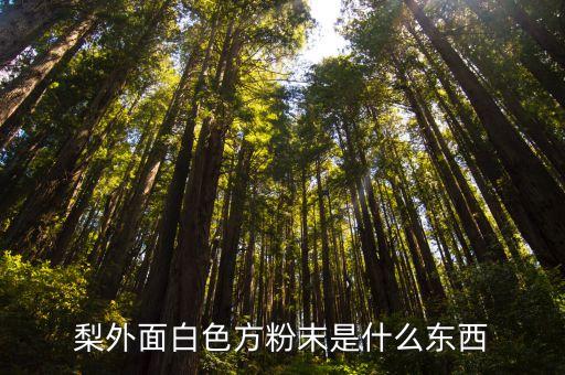 梨外面白色方粉末是什么東西