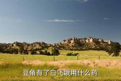 豆角有了白飛娥用什么藥