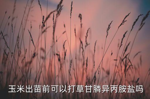  玉米出苗前可以打草甘膦異丙胺鹽嗎