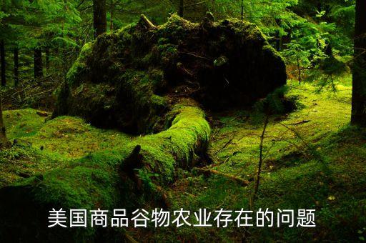 美國商品谷物農業存在的問題