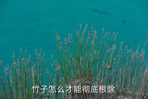 毛竹用什么農藥處理,什么農藥能把毛竹致死