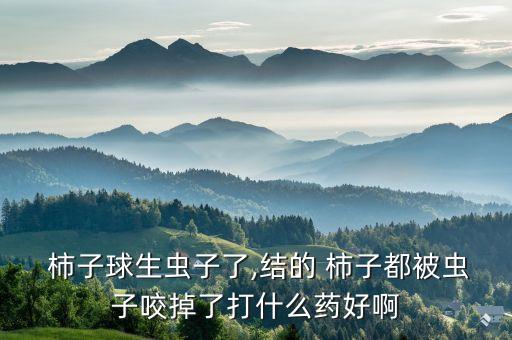  柿子球生蟲子了,結的 柿子都被蟲子咬掉了打什么藥好啊