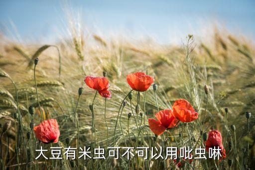 大豆什么農(nóng)藥不能打,大豆需要打農(nóng)藥嗎