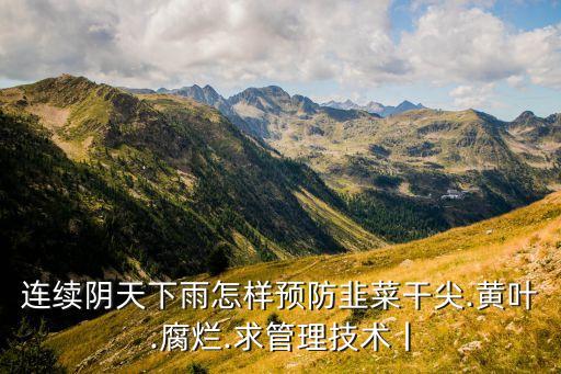 韭黃疫病打什么農(nóng)藥,韭黃要打什么農(nóng)藥么