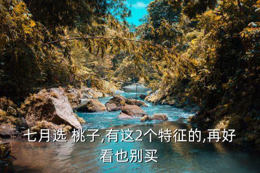 什么農(nóng)藥會(huì)造成桃子黃斑,桃子樹用什么農(nóng)藥可以打