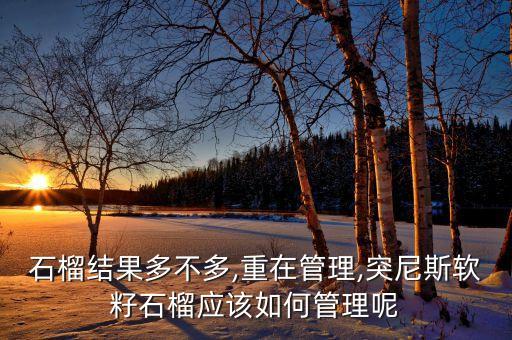 石榴結(jié)果多不多,重在管理,突尼斯軟籽石榴應(yīng)該如何管理呢