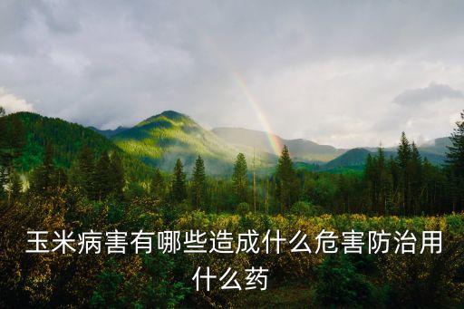  玉米病害有哪些造成什么危害防治用什么藥