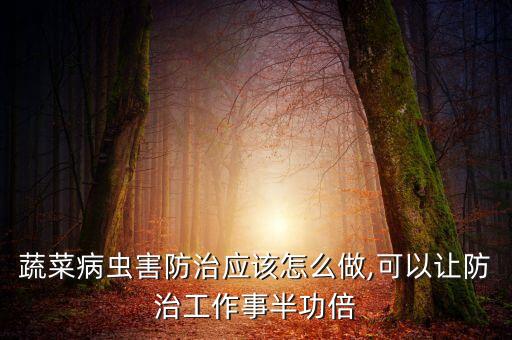 蔬菜病蟲害防治應該怎么做,可以讓防治工作事半功倍