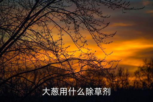 蔥的常用農(nóng)藥是什么,666粉是什么農(nóng)藥