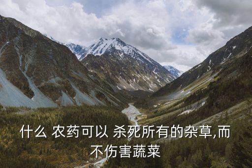 什么農(nóng)藥能殺死茅草根部,白茅草用什么辦法殺死