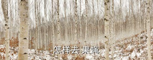 怎樣去 果蠅