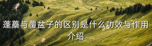 蓬蘽與覆盆子的區別是什么功效與作用介紹