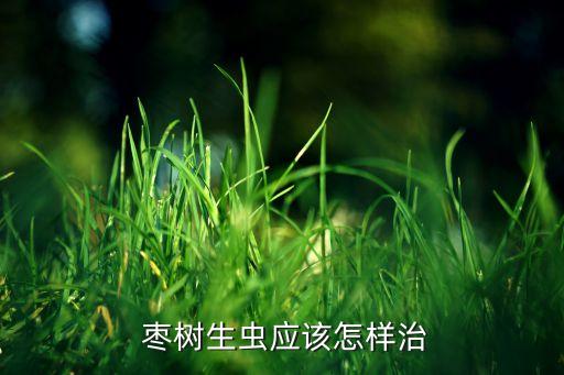  棗樹生蟲應該怎樣治