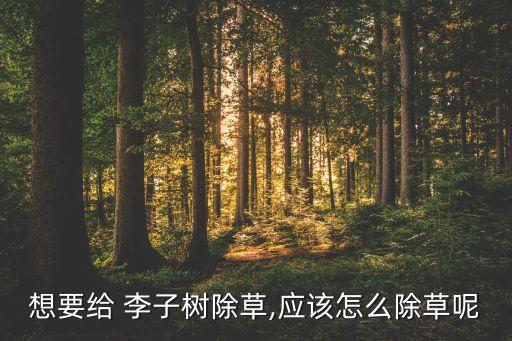 李子樹什么農藥最好,給李子樹打農藥什么時間打最好