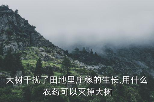 用什么農(nóng)藥治療地盟,農(nóng)藥美烽主要治療什么病
