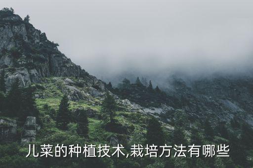兒菜用什么農藥防病