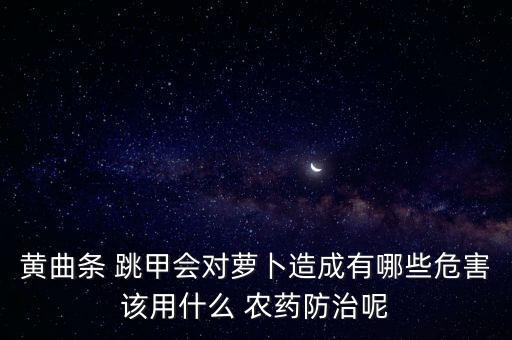 黃曲條 跳甲會(huì)對(duì)蘿卜造成有哪些危害該用什么 農(nóng)藥防治呢