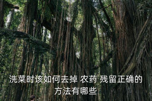 洗菜時該如何去掉 農(nóng)藥 殘留正確的方法有哪些