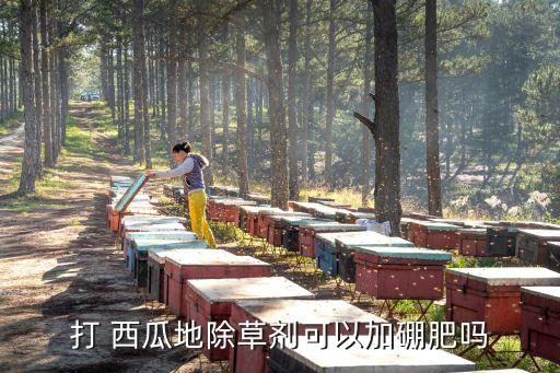 打 西瓜地除草劑可以加硼肥嗎