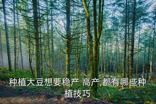 高產(chǎn)豆打什么農(nóng)藥最好使,芝麻打什么農(nóng)藥高產(chǎn)