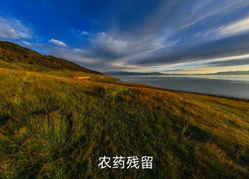 農(nóng)藥雜質(zhì)過(guò)多有什么影響,過(guò)多使用農(nóng)藥有什么危害