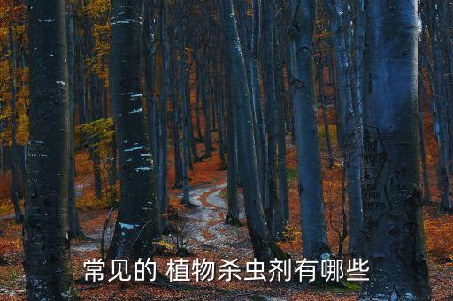 常見的 植物殺蟲劑有哪些