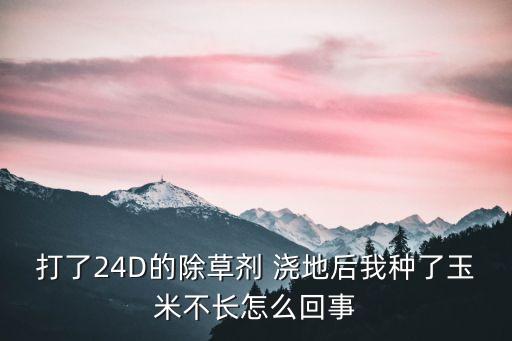 打了24D的除草劑 澆地后我種了玉米不長怎么回事