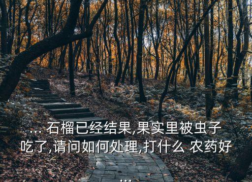 ... 石榴已經結果,果實里被蟲子吃了,請問如何處理,打什么 農藥好...