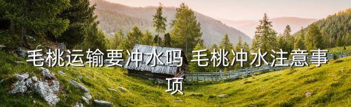 毛桃什么時(shí)候打農(nóng)藥