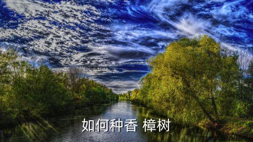 樟樹苗用什么農藥,樟樹有蟲打什么農藥
