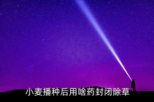  小麥播種后用啥藥封閉除草